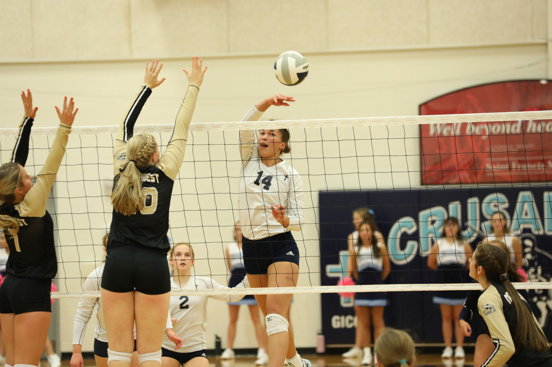 Outtakes_100419_ginwvball17_zlm.JPG